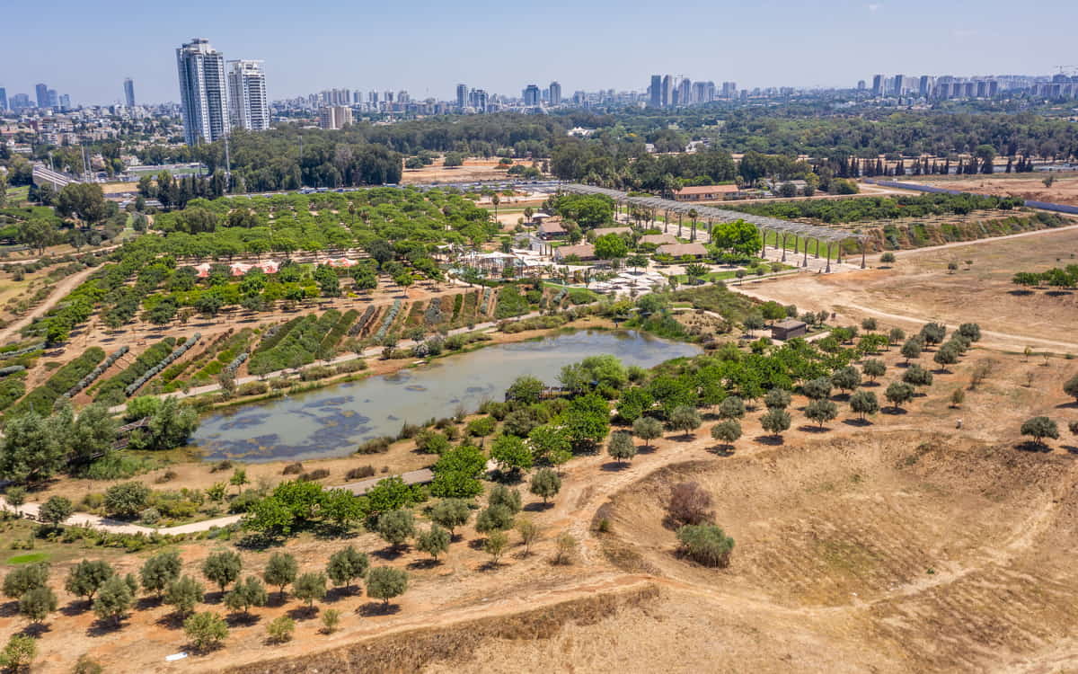 פארק אריאל שרון – מהר פסולת לריאה ירוקה: המהפכה ההנדסית של קבוצת אוליצקי